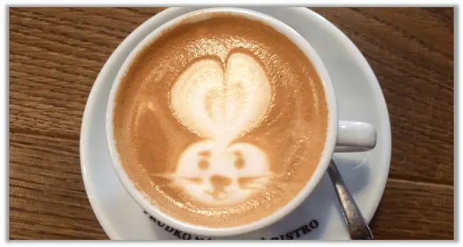 A Rabbit Latte Art