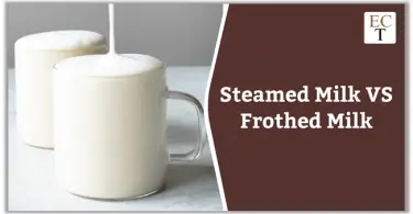Steamed Milk VS Frothed Milk