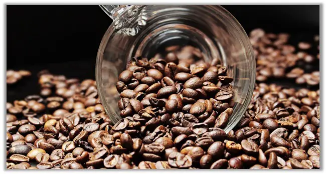 Which Beans Are Used In Espresso Powder And Instant Coffee