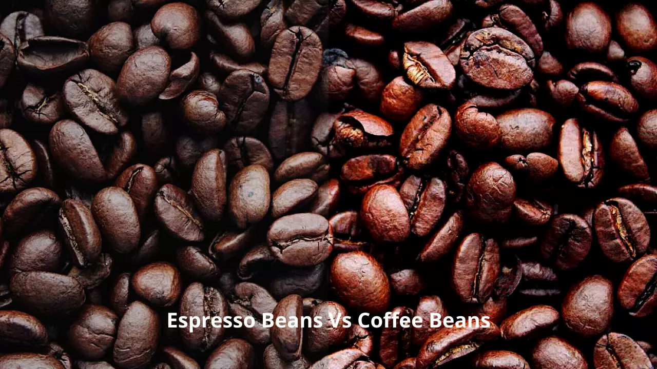 Espresso Beans Vs Coffee Beans