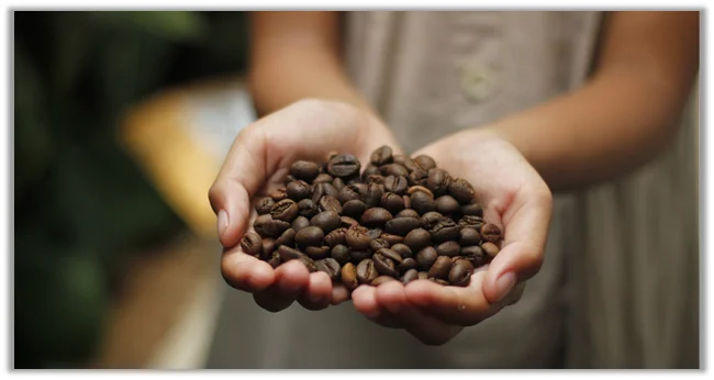 Which Traits Define Good Espresso Beans