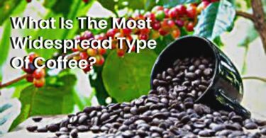 What Is The Most Widespread Type Of Coffee