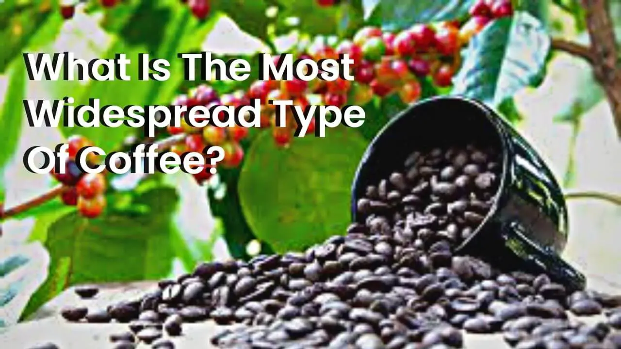 What Is The Most Widespread Type Of Coffee
