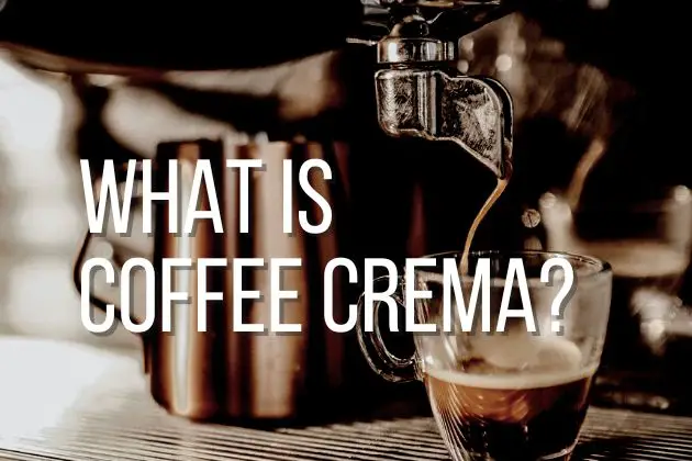 what-is-coffee-crema