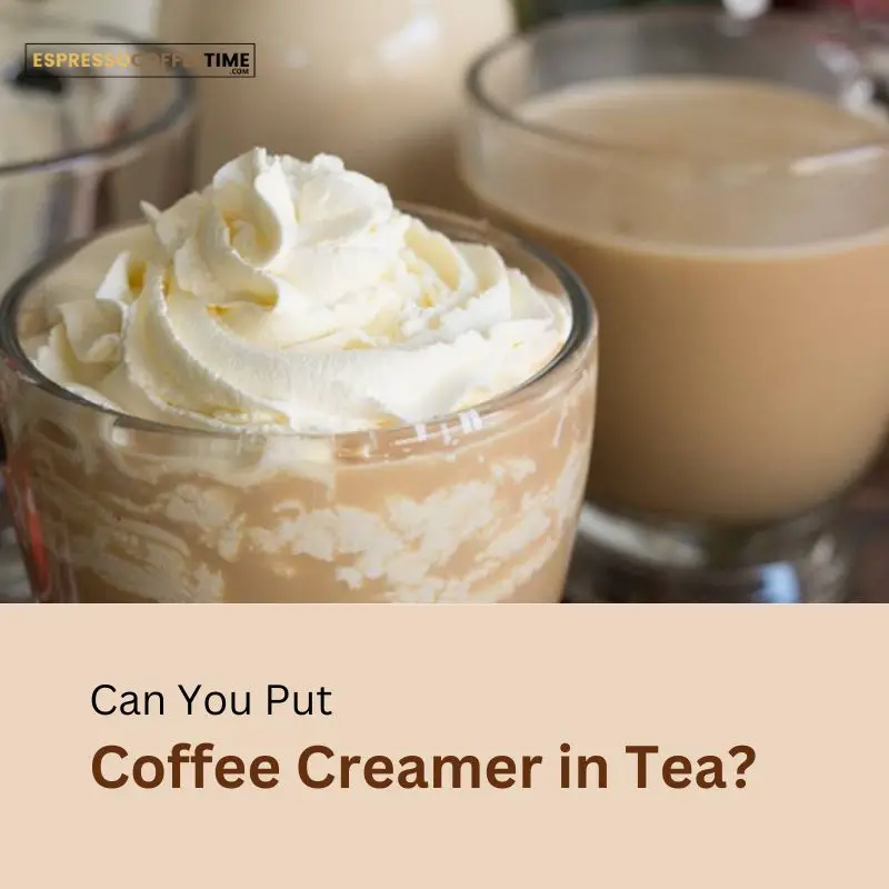 Can You Put Coffee Creamer in Tea