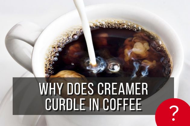Why-Does-Creamer-Curdle-In-Coffee