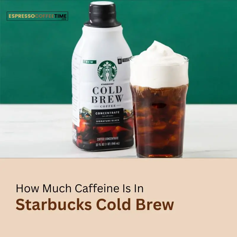How Much Caffeine Is In Starbucks Cold Brew Coffee