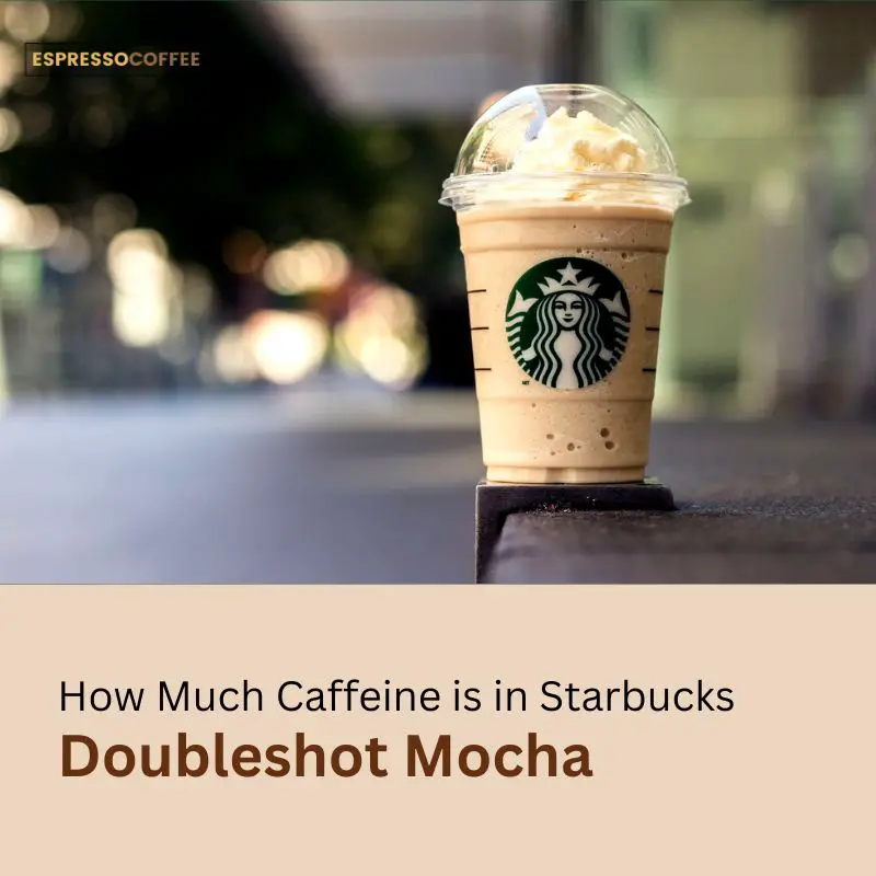 How Much Caffeine is in Starbucks Doubleshot Mocha Energy Drink