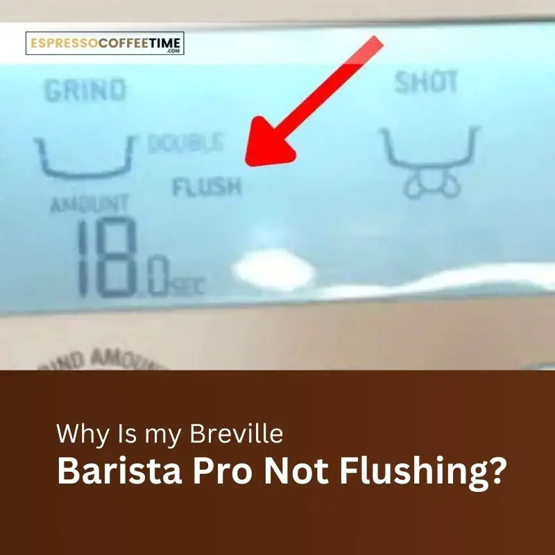 Breville Barista Pro Not Flushing