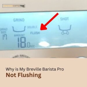 Breville Barista Pro Not Flushing