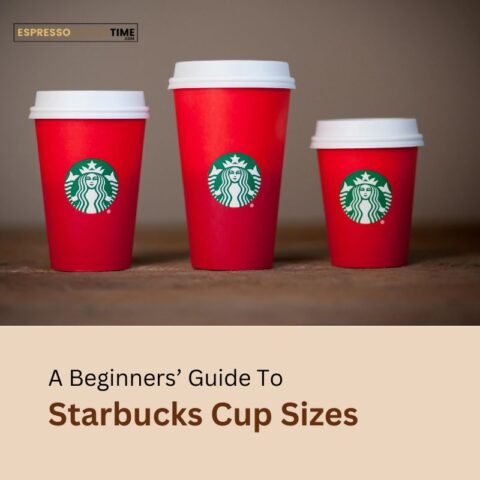 Starbucks Cup Sizes & Tips To Optimize Your Choice