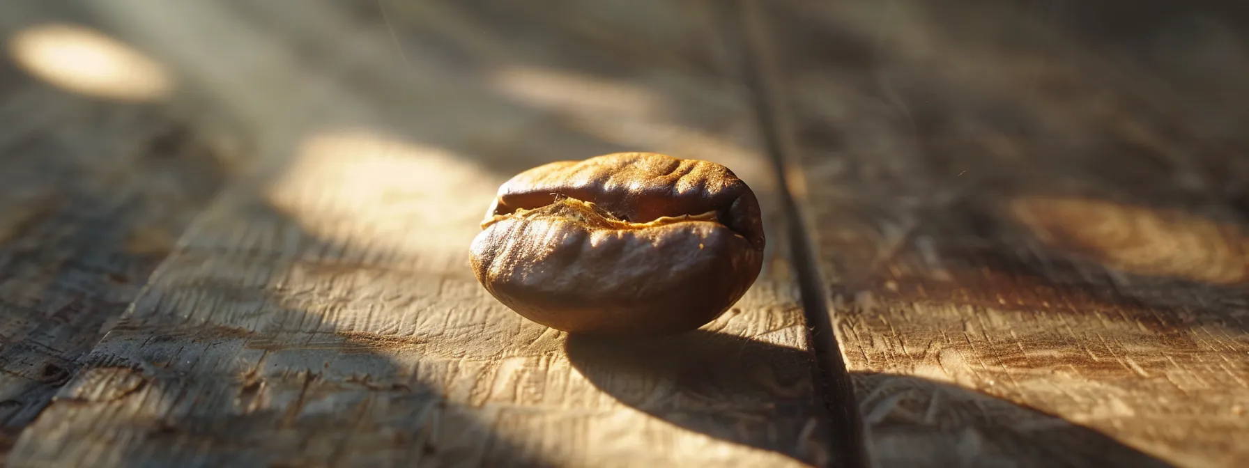 a ray of sunlight illuminates a perfect coffee bean, showcasing its rich, dark color and fragrant aroma.